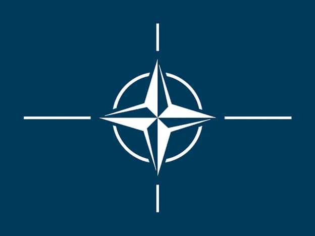 The logo of the NCAGE (NATO Commercial and Governmental Entity) identifier