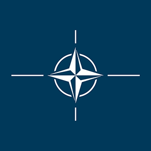NCAGE (NATO Commercial and Governmental Entity) code